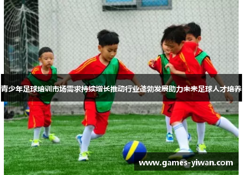 青少年足球培训市场需求持续增长推动行业蓬勃发展助力未来足球人才培养 青少年足球培训市场需求持续增长推动行业蓬勃发展助力未来足球人才培养