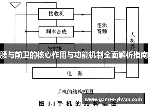 腰与前卫的核心作用与功能机制全面解析指南 腰与前卫的核心作用与功能机制全面解析指南